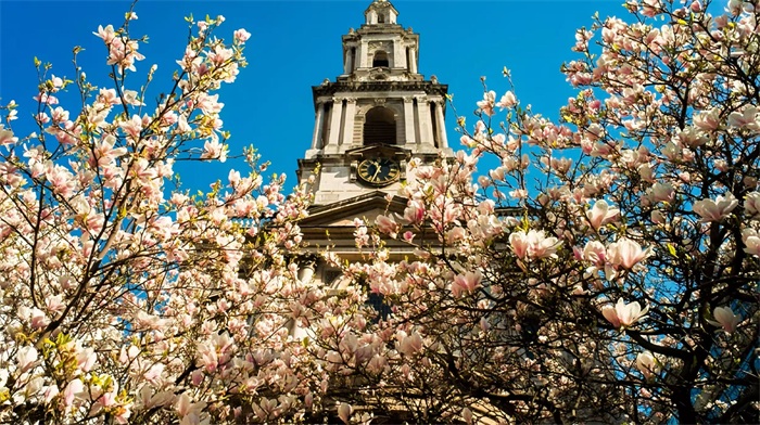 1774093815153649.jpg 98a70fc2f053fae8b8ca4b27c0762910.jpg